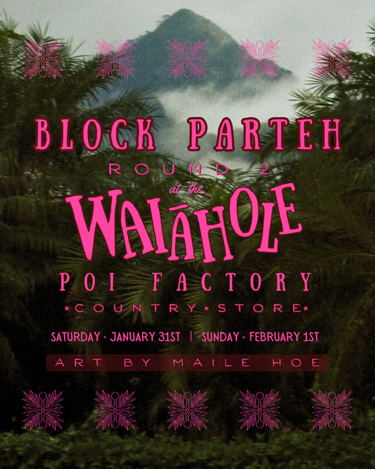 SATURDAY’S BLOCK PARTEH